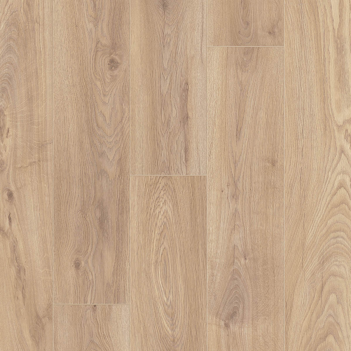 4590 OTIUM Ritual natural oil