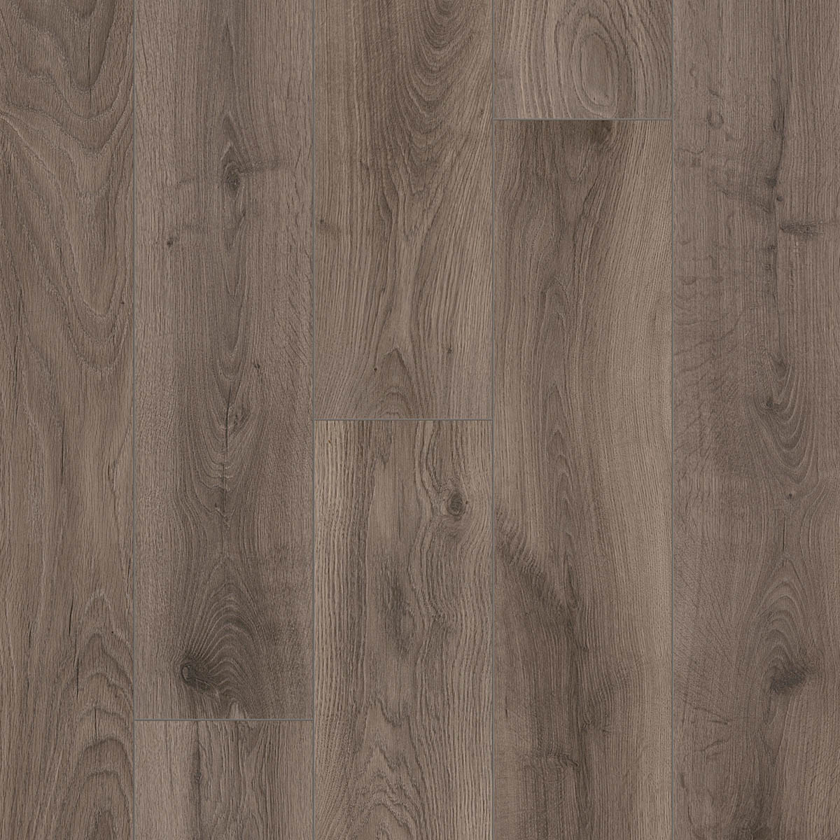 4593 OTIUM Ritual ash