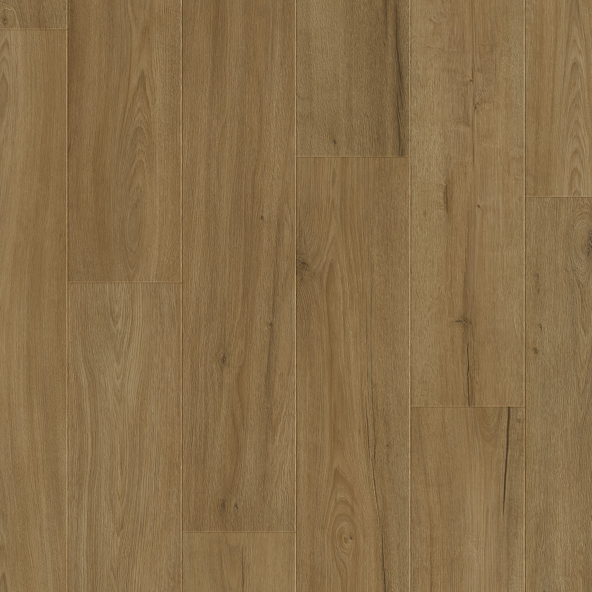 4693 OTIUM Dahlia taupe