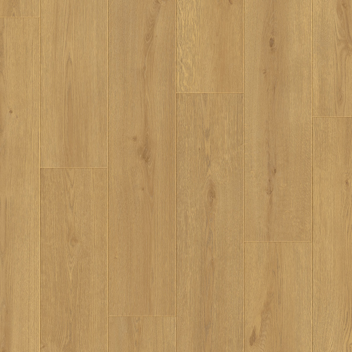 4694 OTIUM Dahlia sand