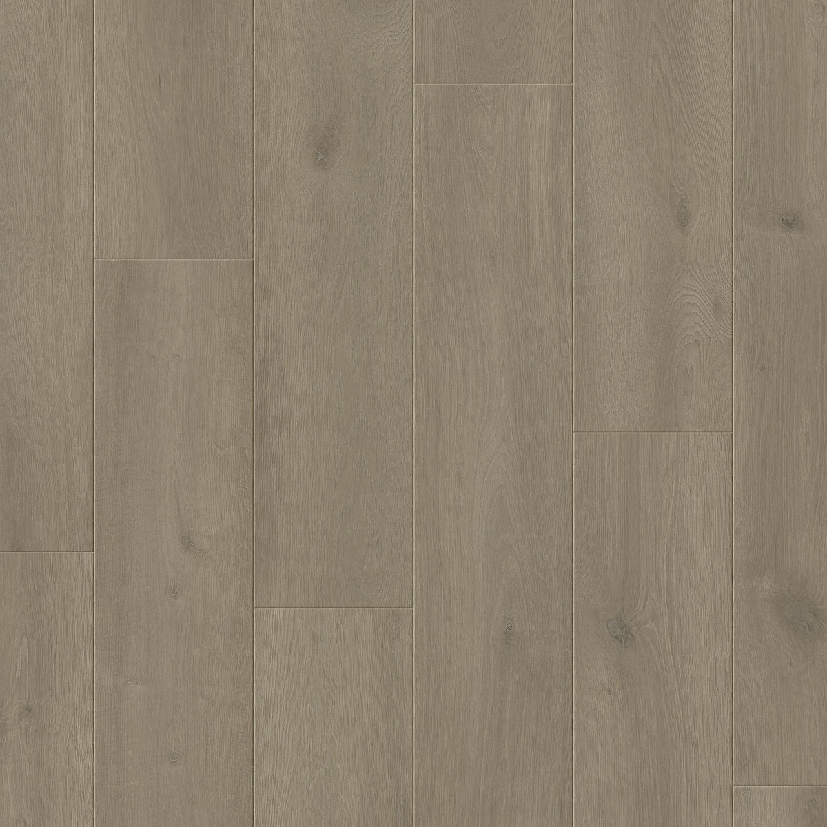 4695 OTIUM Silk light grey