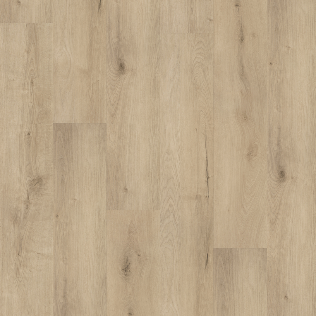 FC Line Smoky 3610 DB