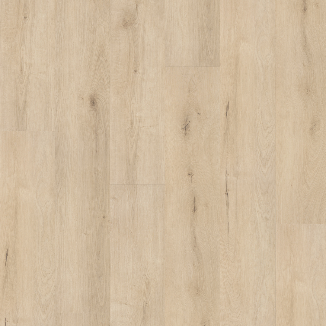FC Line beige 3611 DB
