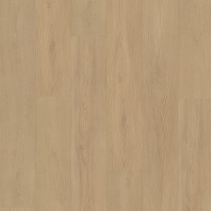 FC Line beige 8100 Click