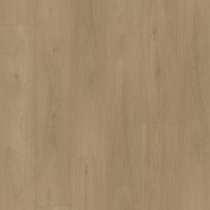 FC Line smoky 8101 Click