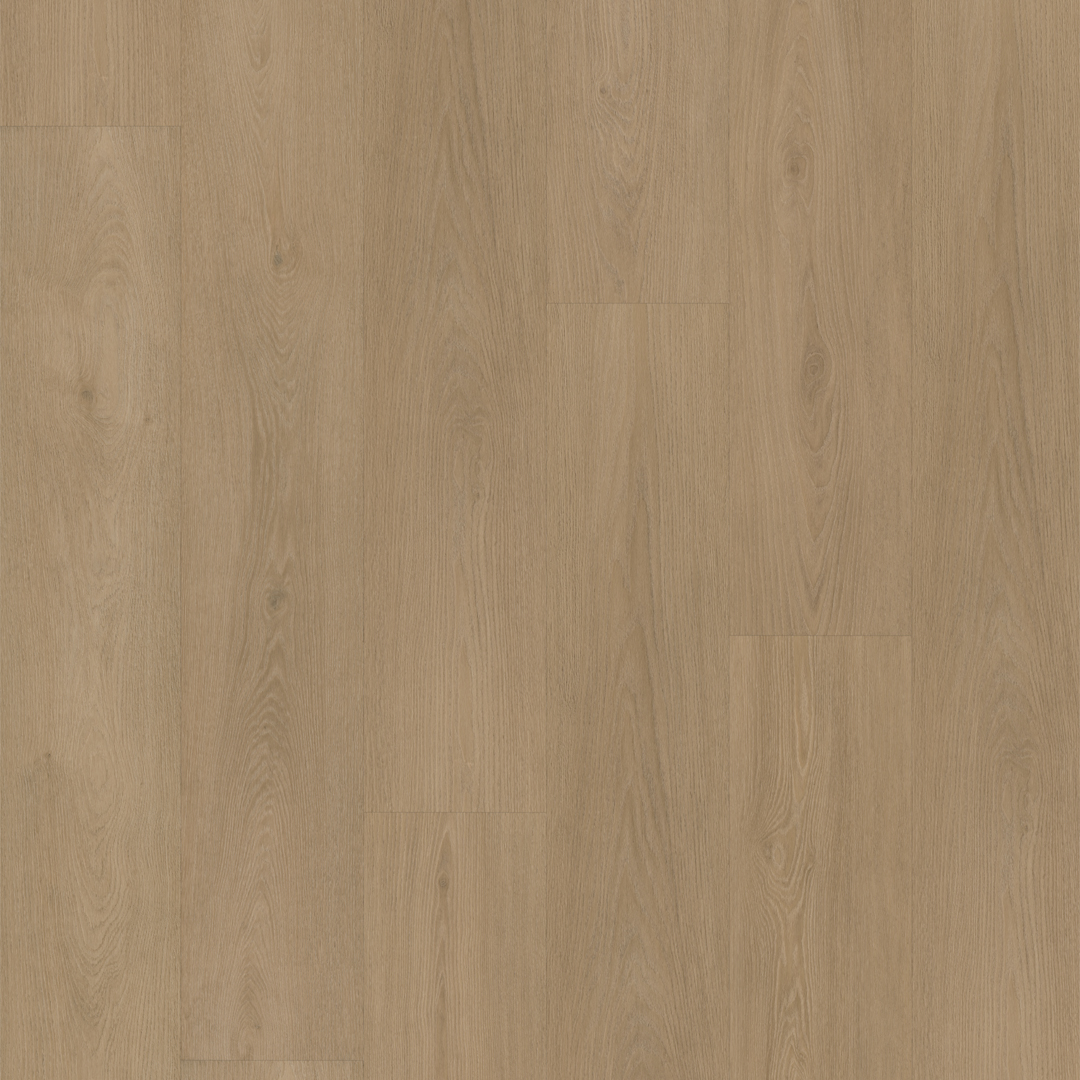 FC Line smoky 8101 Click