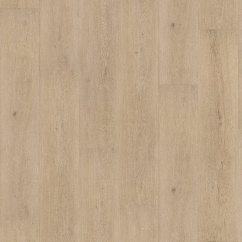 FC Line Bruin 2541 Click