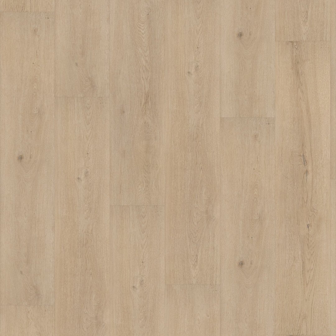 FC Line Bruin 2541 Click