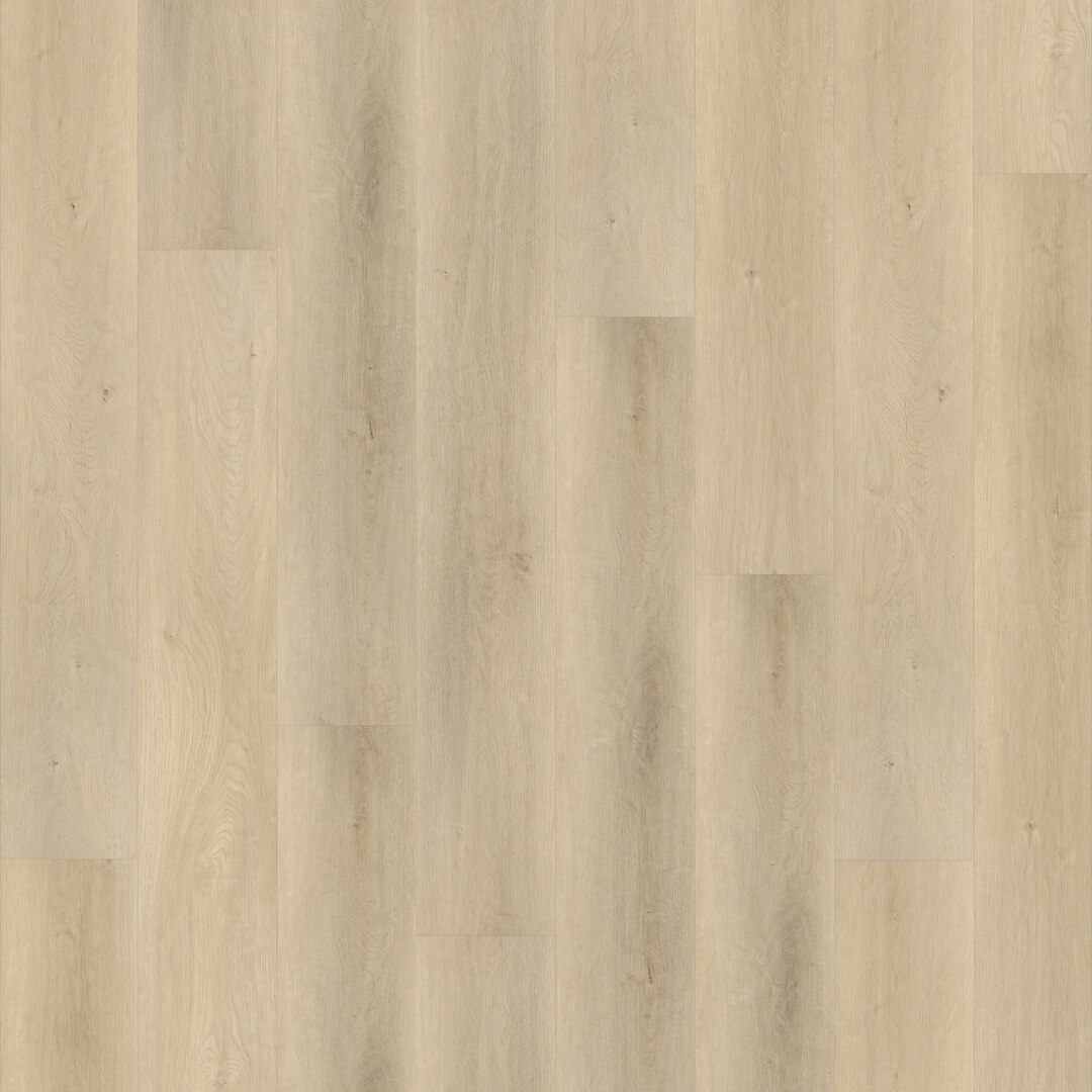 FC Line Beige 1311 Click