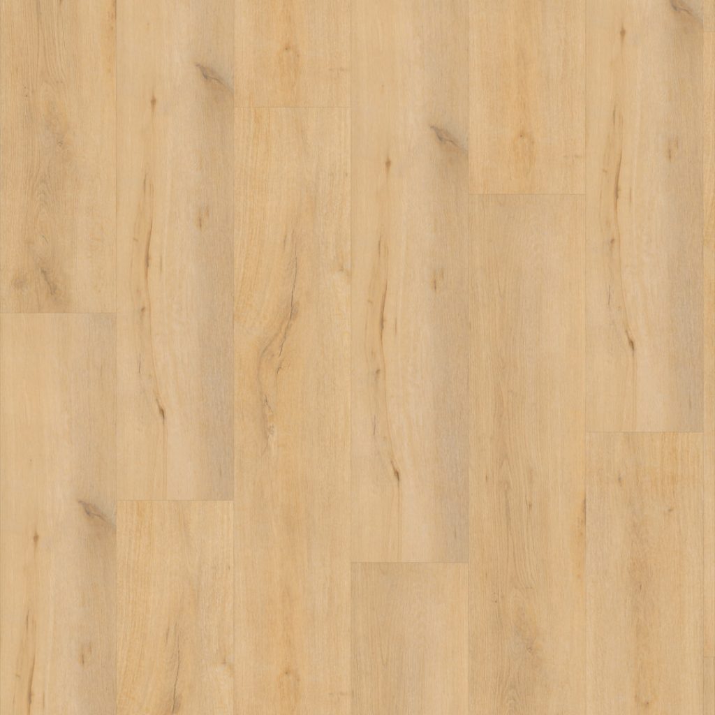 FC Line Bruin 5863 Dryback