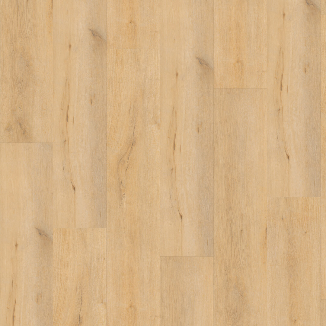 FC Line Bruin 5863 Dryback