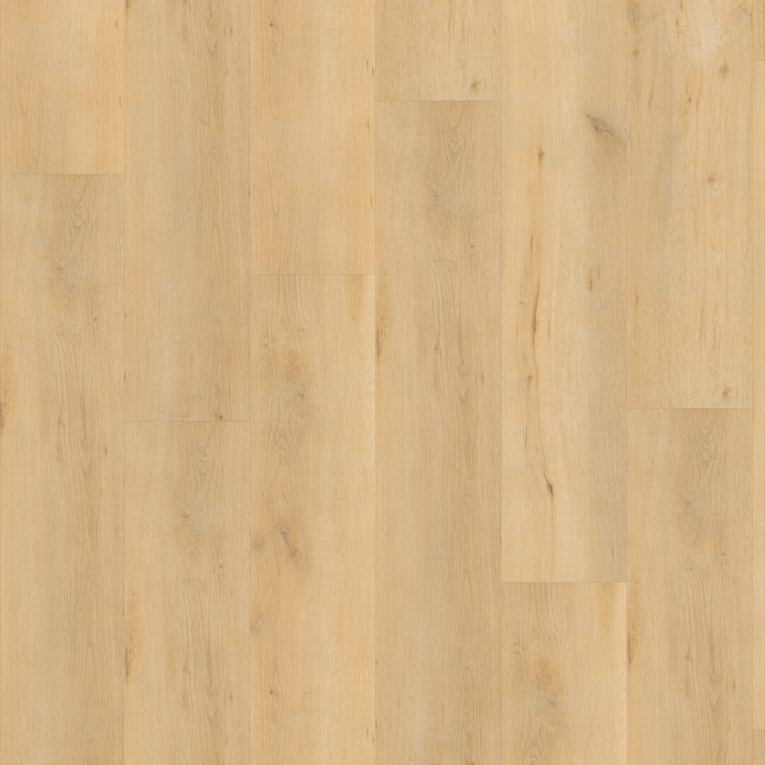 FC Line Naturel 5864 Dryback