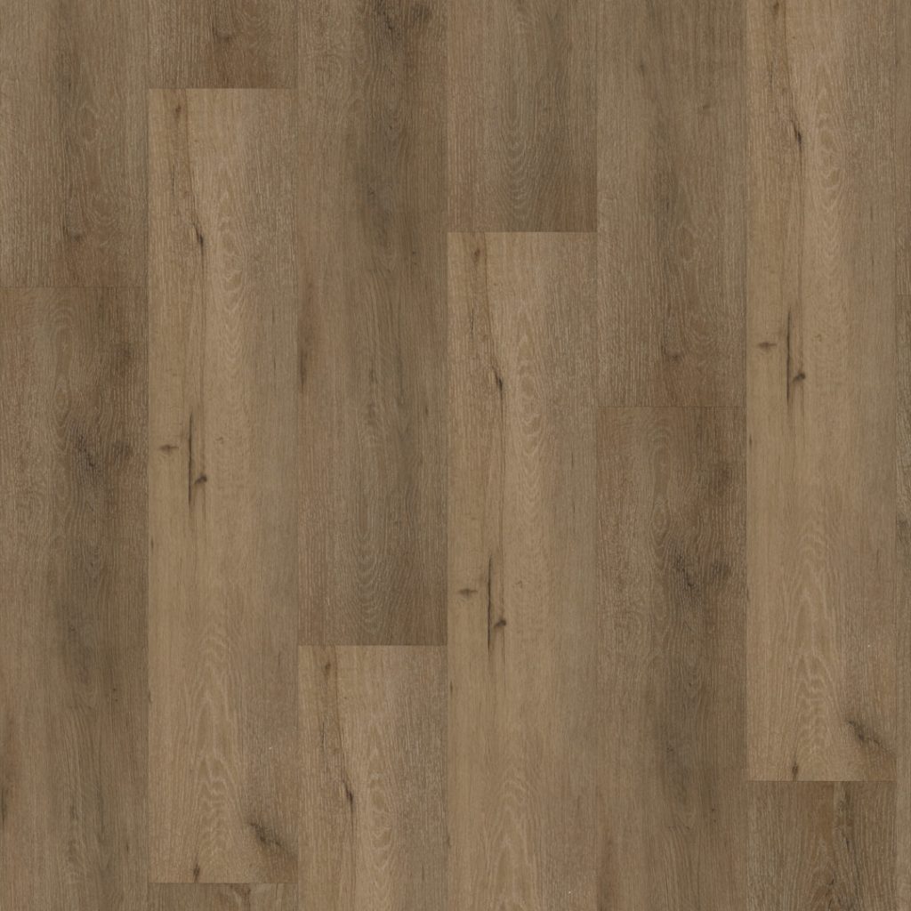 FC Line Donkerbruin 5865 Dryback