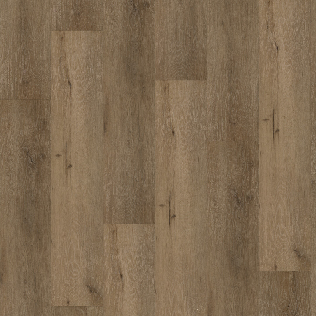 FC Line Donkerbruin 5865 Dryback