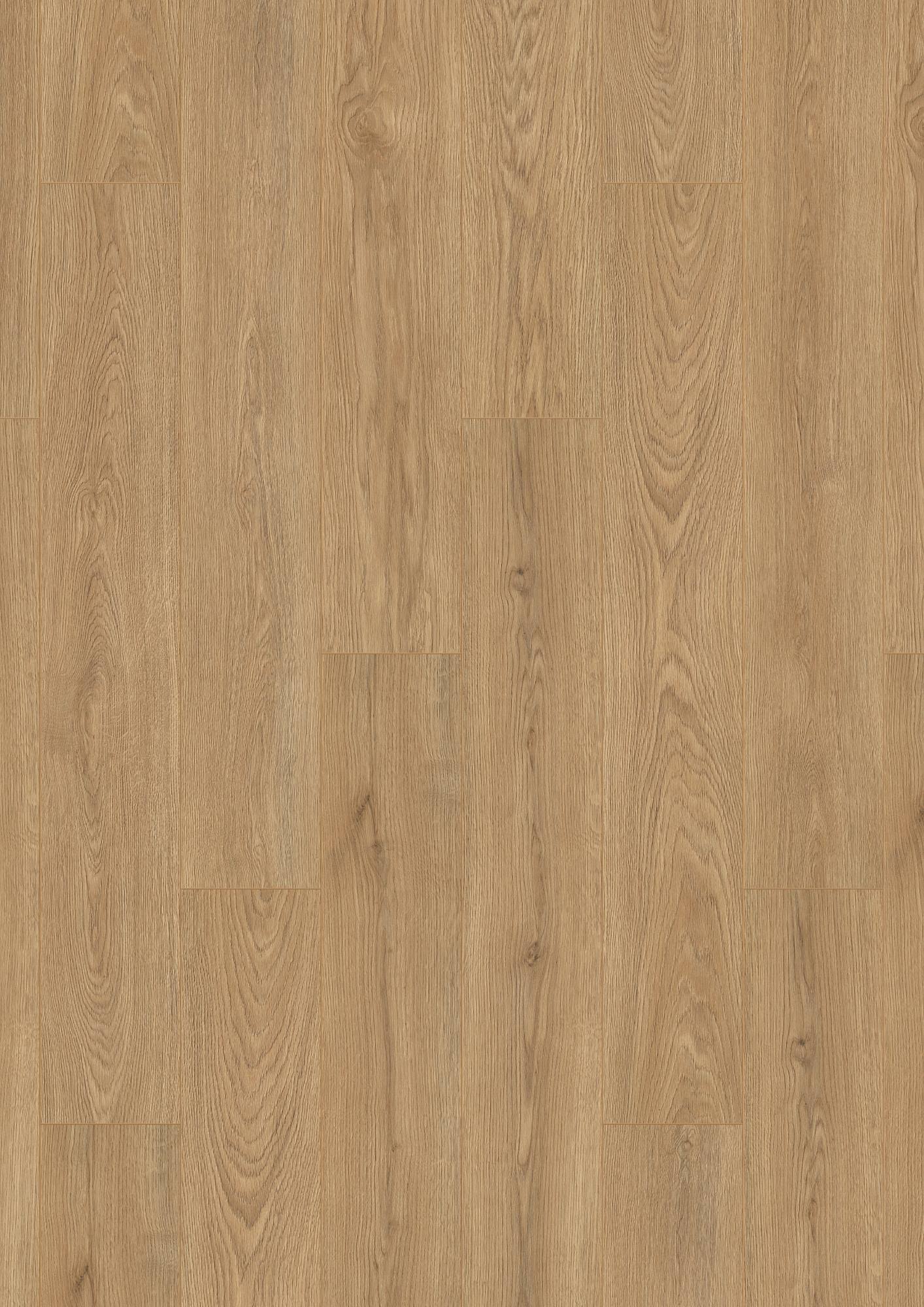 FC Line Nautica Calypso CP003