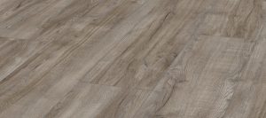 FCCL136601 Silver oak