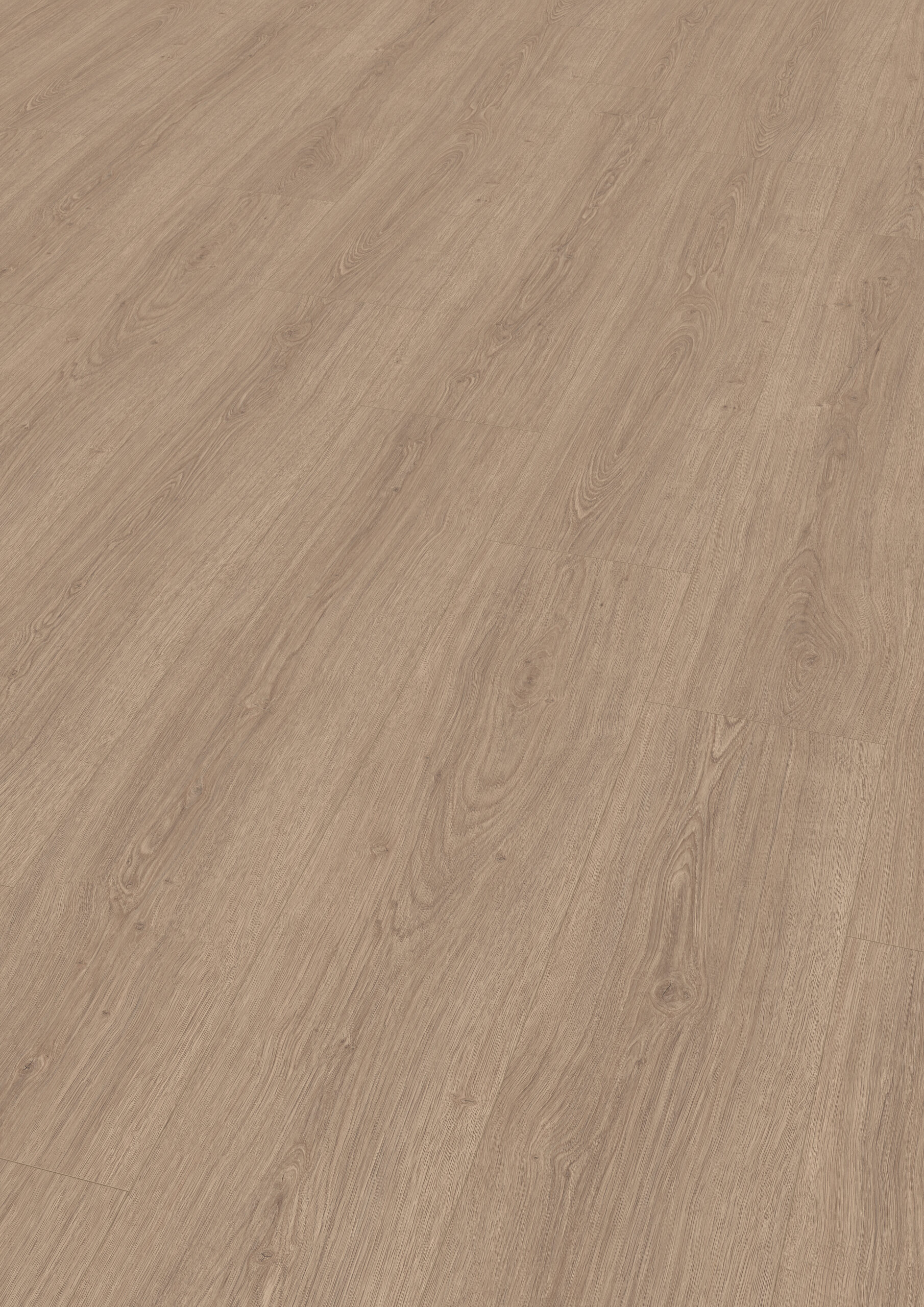 FCLGATF13EL1011 Invicta bruin eiken