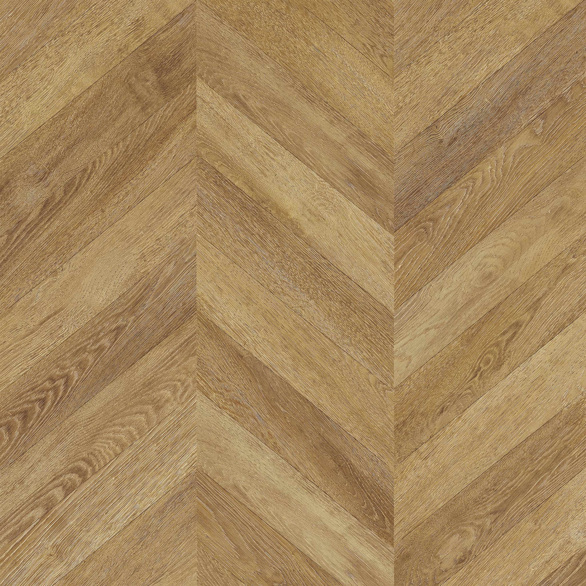 FCMP13973 Modern natuur