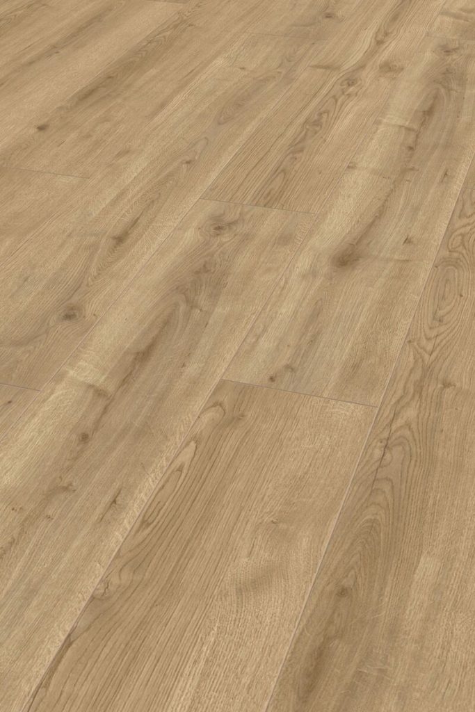 FCSTTF13823 Brons eiken