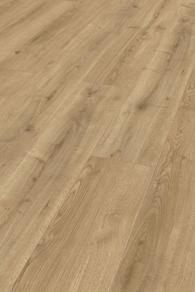 FCSTTF13823 Brons eiken