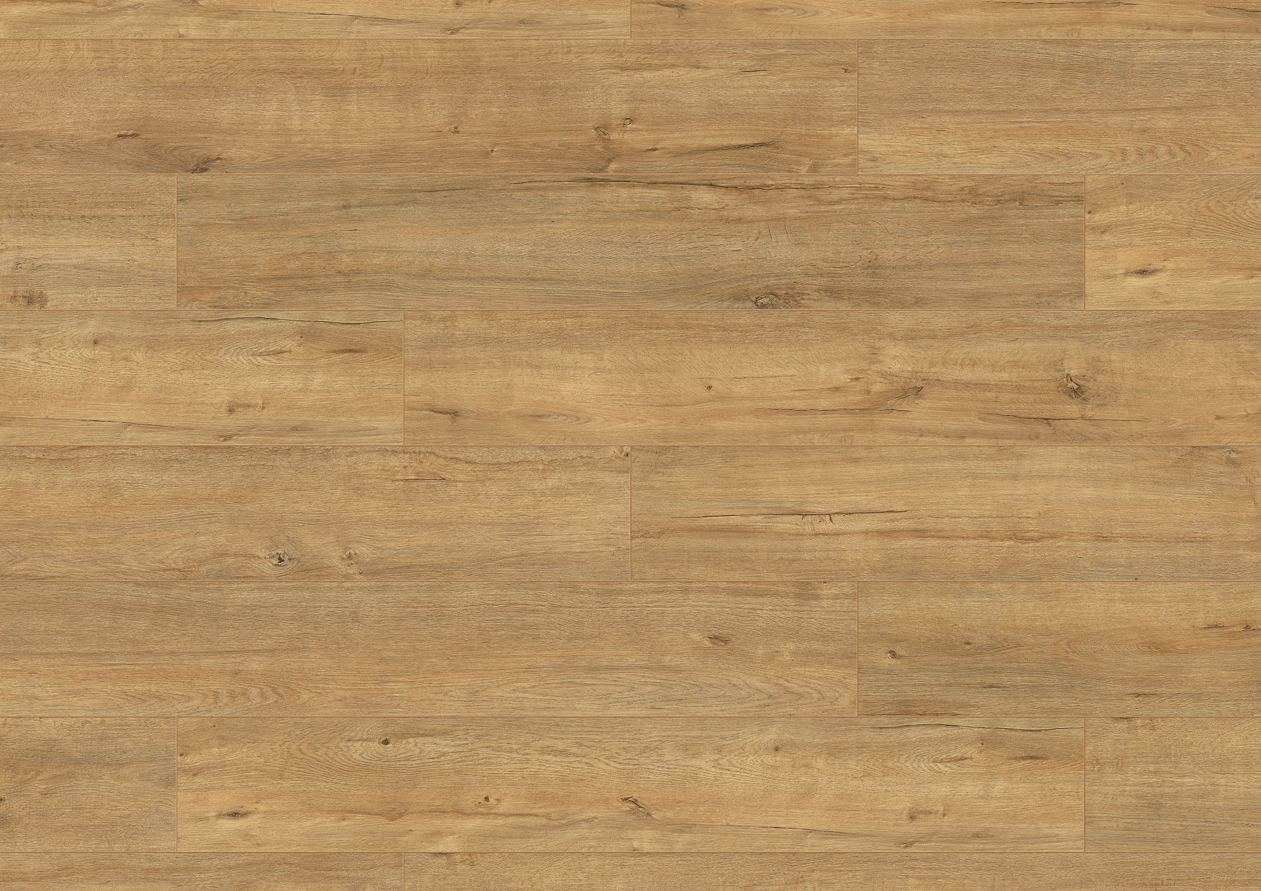 FCWPM13132 Goud Eiken