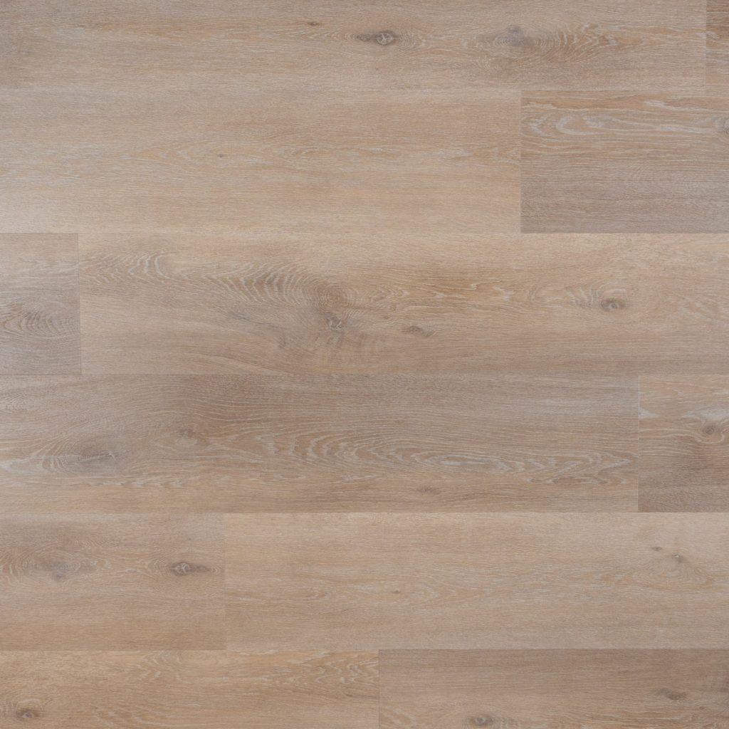 94602 OTIUM Ava Plank
