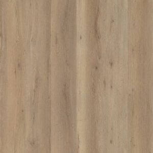 6096182219 6096182219