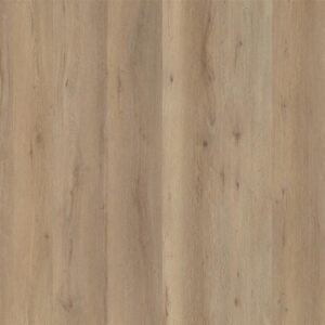 6197282219 6096182219