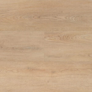 HBG 58 img597 54858 Samengesteld LR