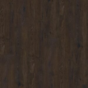 2890361319 10003 dryback dark brown