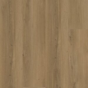 6620191219 espero dryback dark oak scan