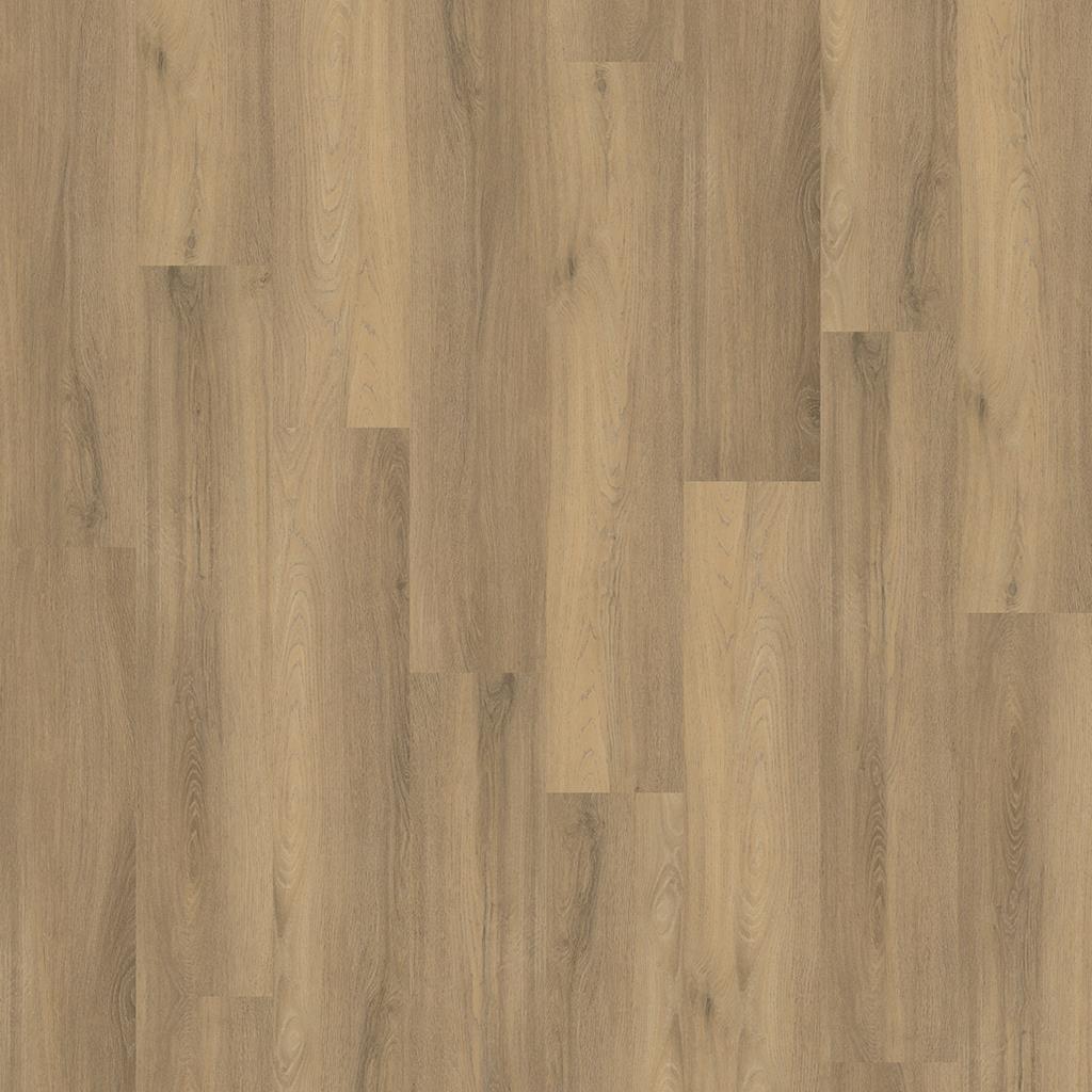 FC Avanto Natural 4503 Dryback