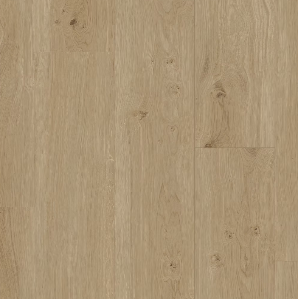 FC Natuurlijk Gaudi SK-201