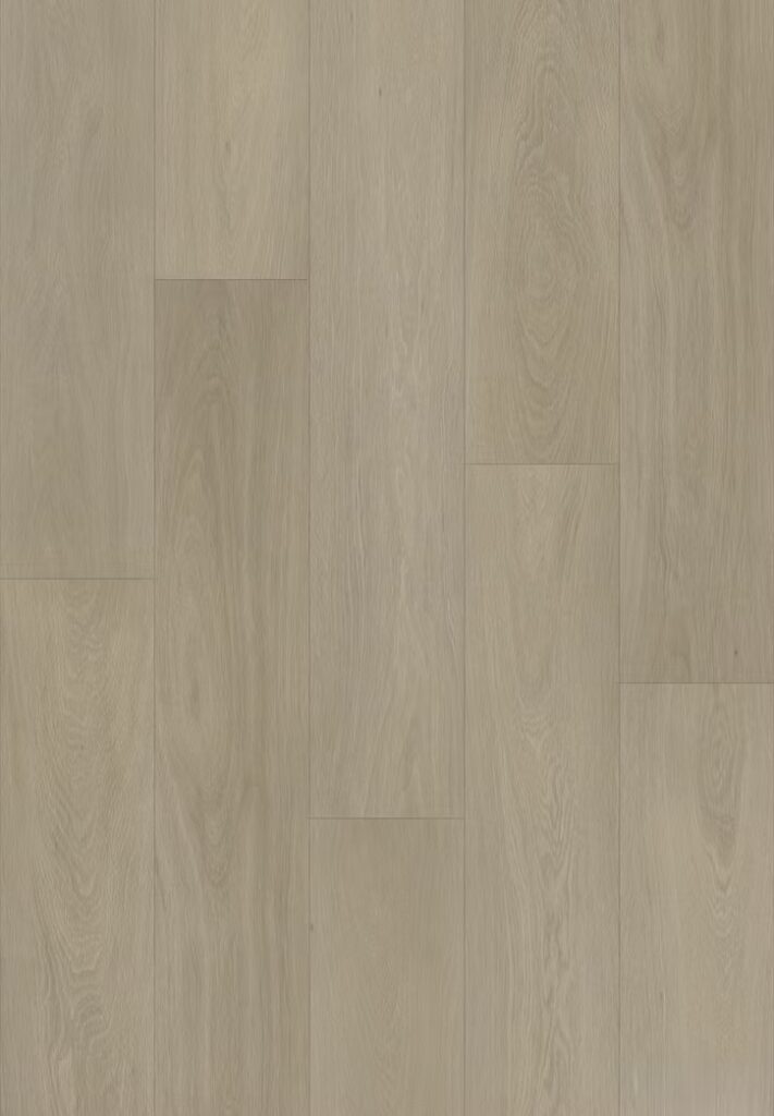 FC Taupe Lager SP-503