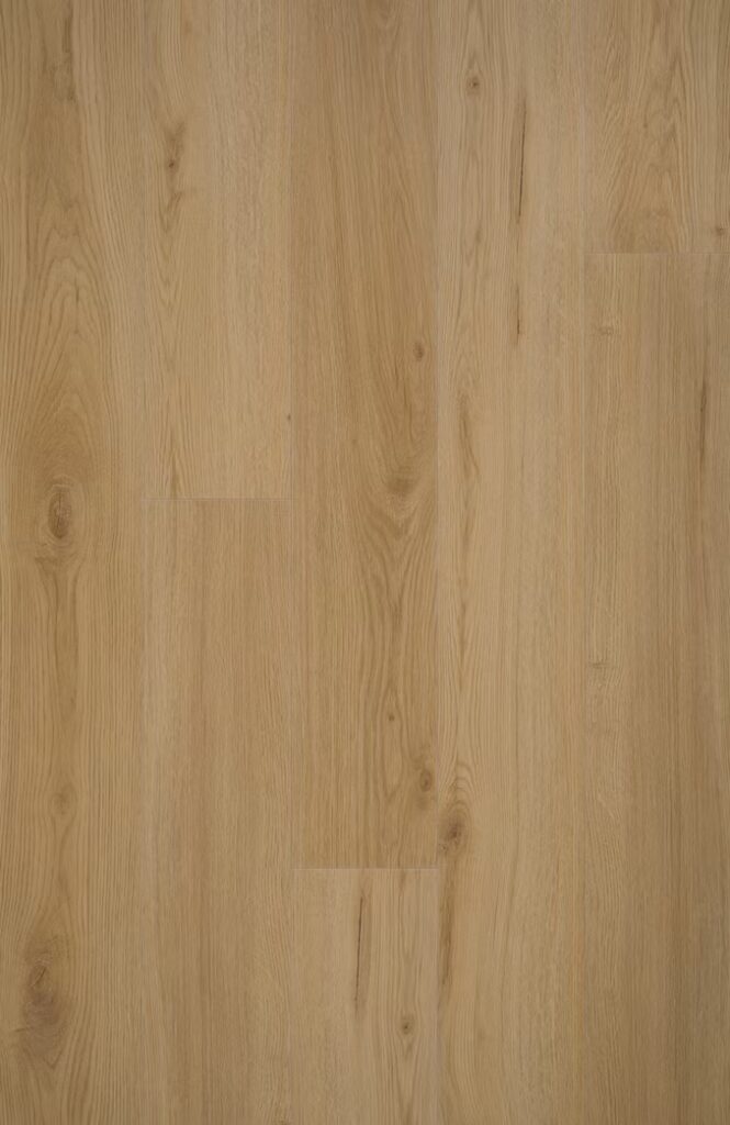 FC Natuurlijk Campari SP-508