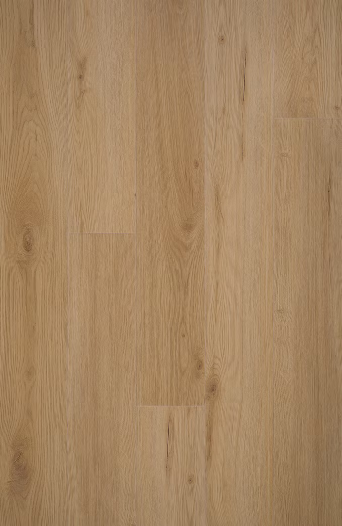 FC Natuurlijk Campari SP-508