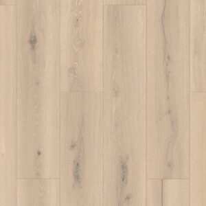 th 24503031 forest oak natural